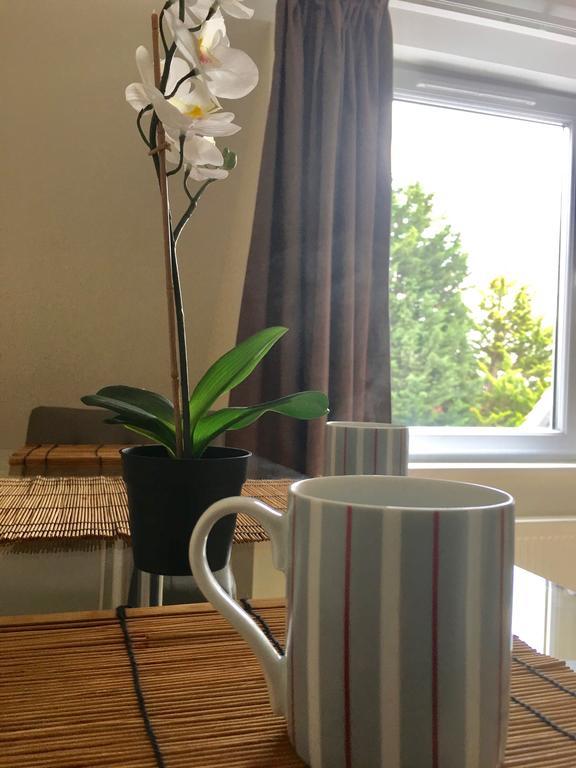 Apartament Amberblue@Epsom Zewnętrze zdjęcie